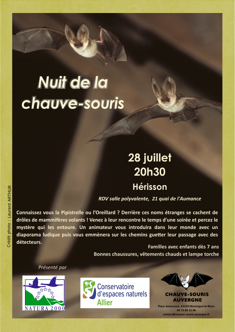 Nuit chauve-souris